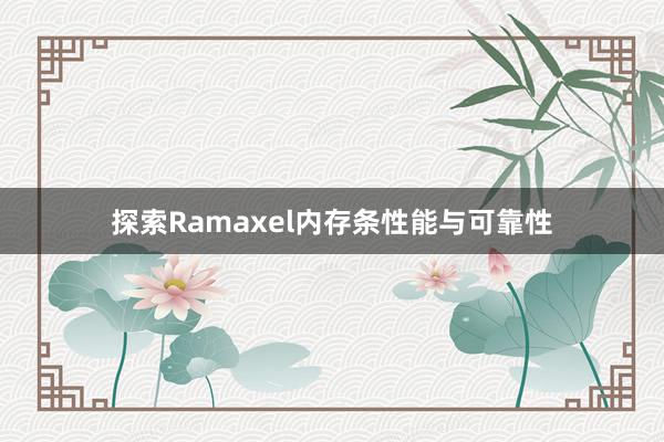 探索Ramaxel内存条性能与可靠性